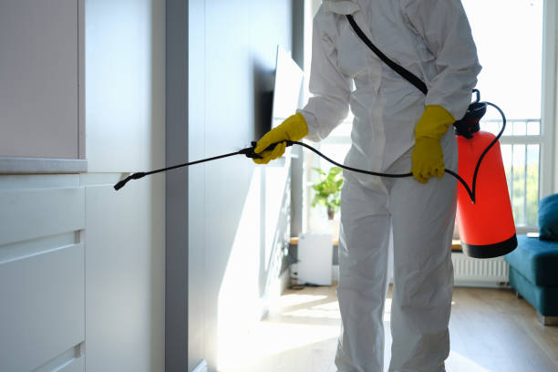 Biohazard Mold Removal in San Felipe Pueblo, NM